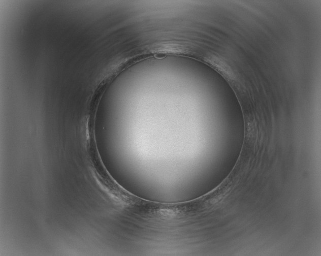 X0000073920302200608251556