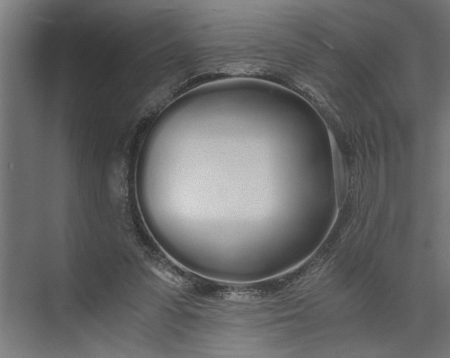 X0000073920303200608251556