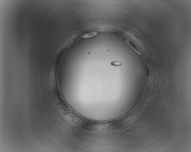 X0000073920306200608251556