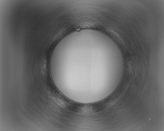 X0000073920308200608251556