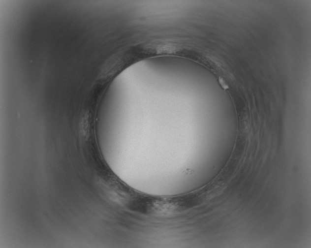 X0000073920311200608251556