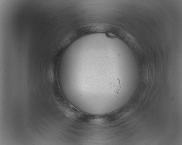 X0000073920312200608251556