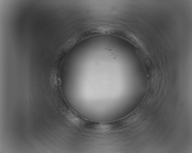 X0000073920313200608251556