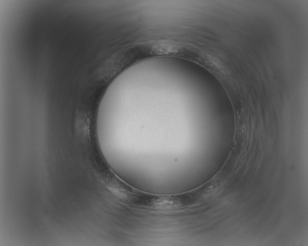 X0000073920315200608251556