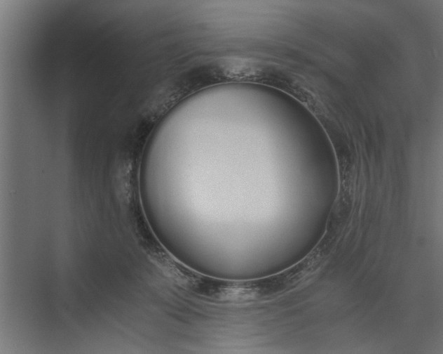 X0000073920319200608251556