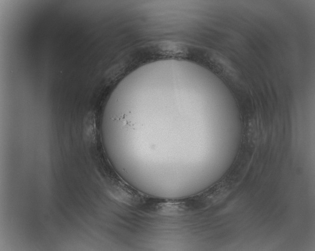 X0000073920320200608251556