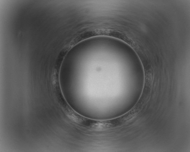 X0000073920323200608251556