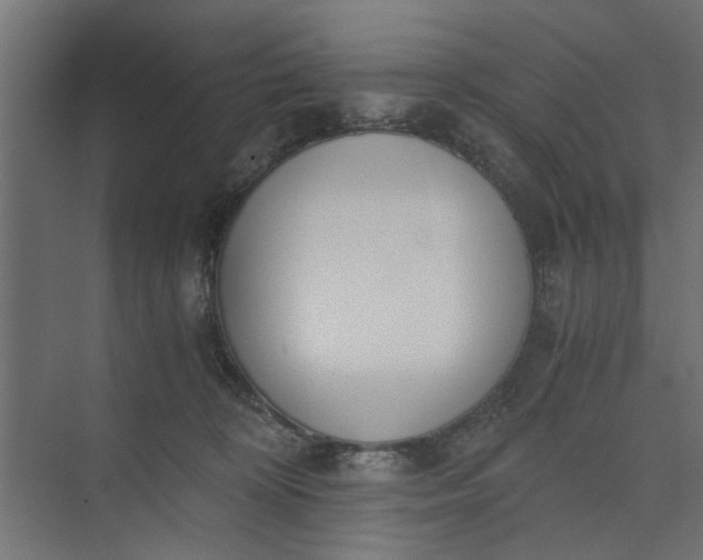 X0000073920324200608251556