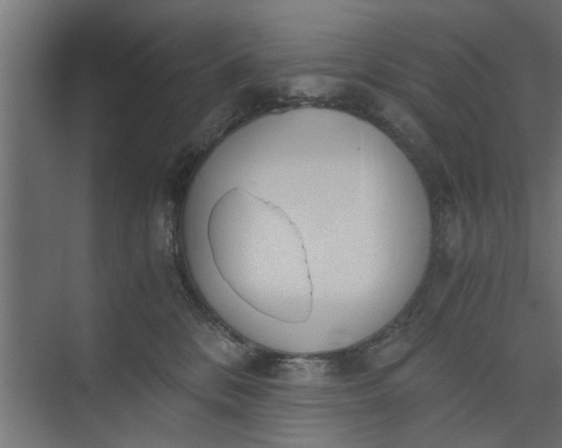 X0000073920328200608251556