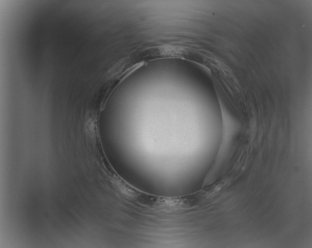 X0000073920329200608251556