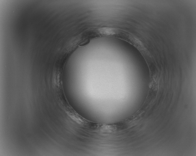 X0000073920330200608251556