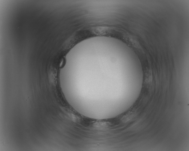 X0000073920332200608251556