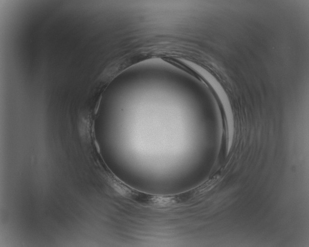 X0000073920333200608251556