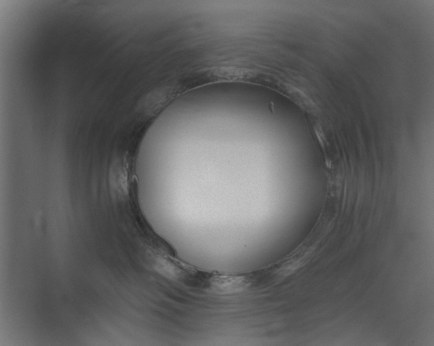 X0000073920334200608251556