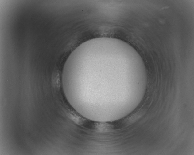 X0000073920336200608251556