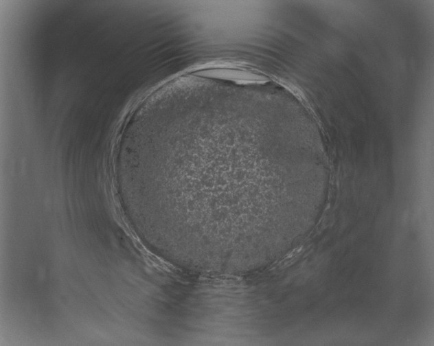 X0000073920337200608251555