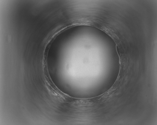 X0000073920338200608251555