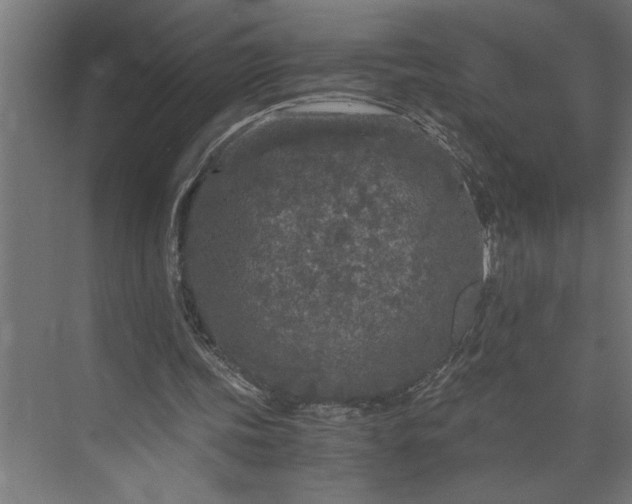 X0000073920339200608251555