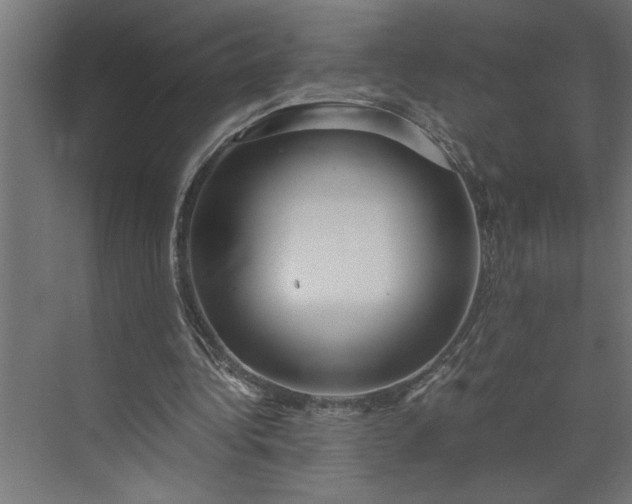 X0000073920340200608251555