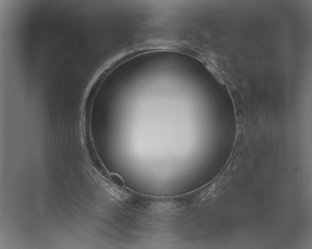 X0000073920342200608251555