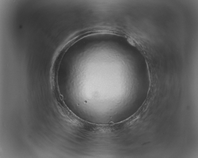 X0000073920343200608251555