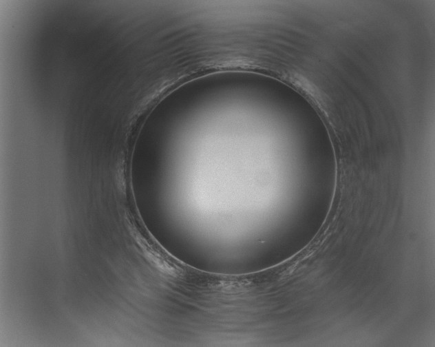 X0000073920345200608251555