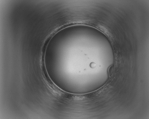 X0000073920346200608251555