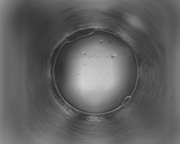 X0000073920347200608251555