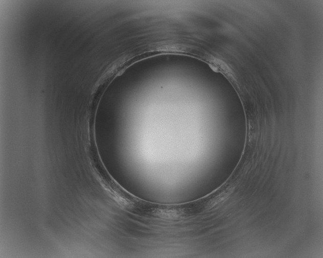 X0000073920349200608251555