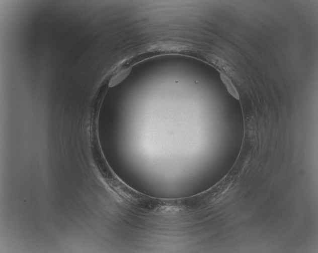 X0000073920352200608251555