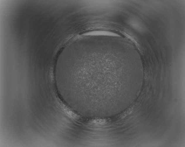 X0000073920353200608251555