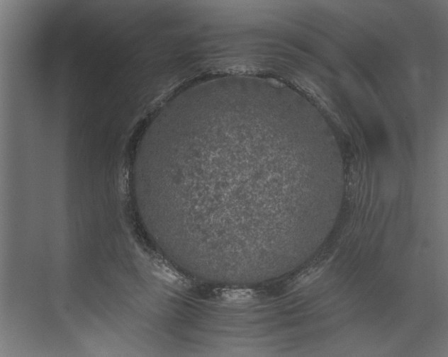 X0000073920355200608251555