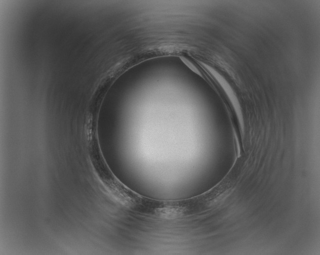 X0000073920356200608251555