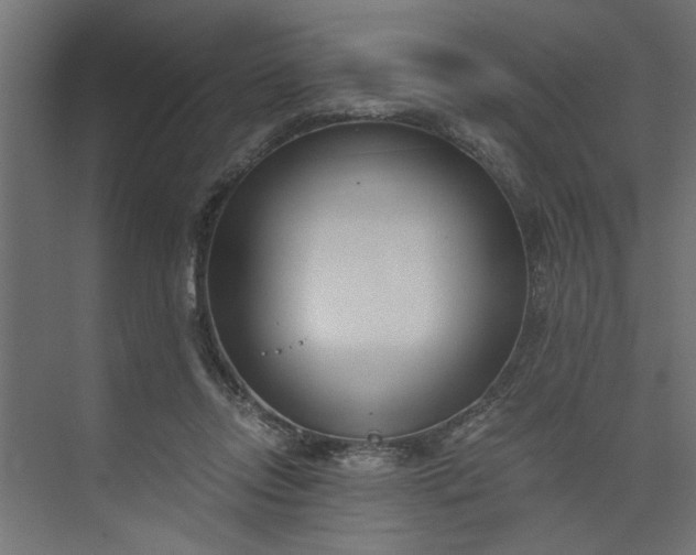 X0000073920358200608251555