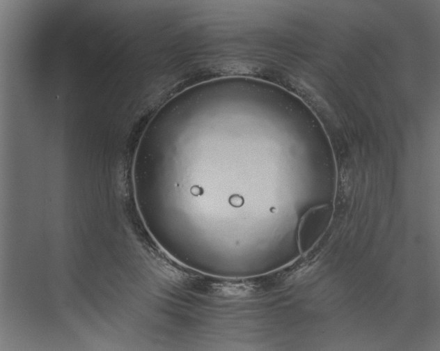 X0000073920359200608251555