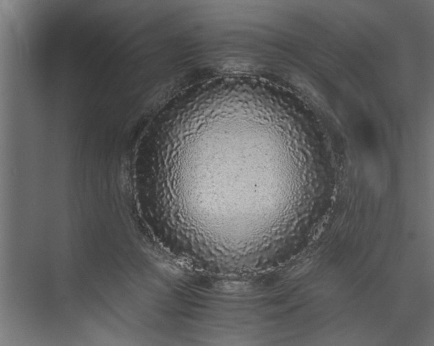 X0000073920361200608251555