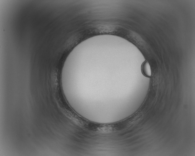 X0000073920362200608251555