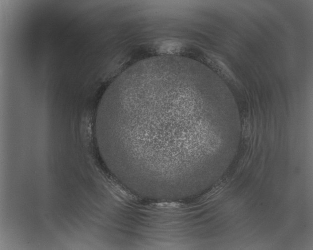 X0000073920363200608251555