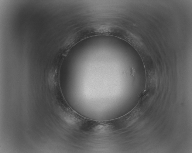 X0000073920364200608251555