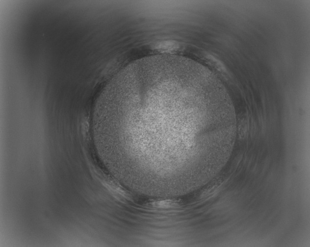 X0000073920365200608251555