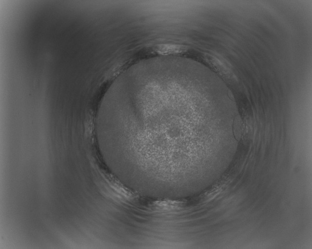 X0000073920367200608251555