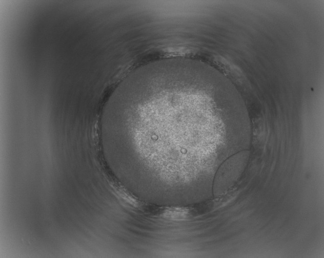 X0000073920369200608251555