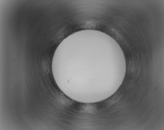 X0000073920370200608251555