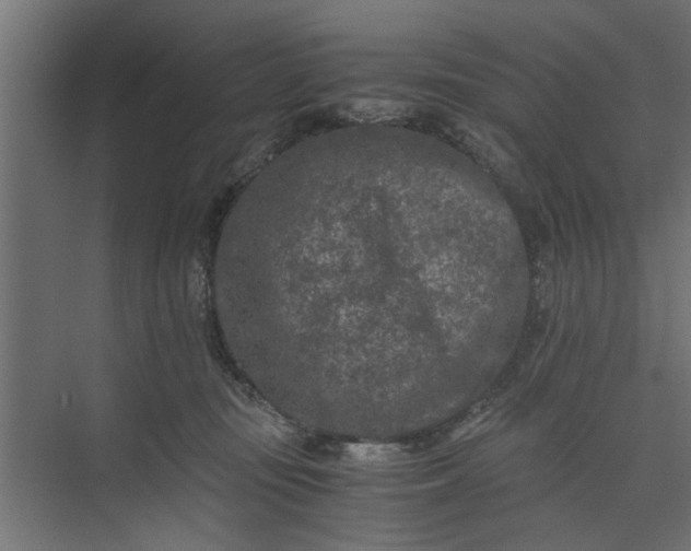 X0000073920371200608251555