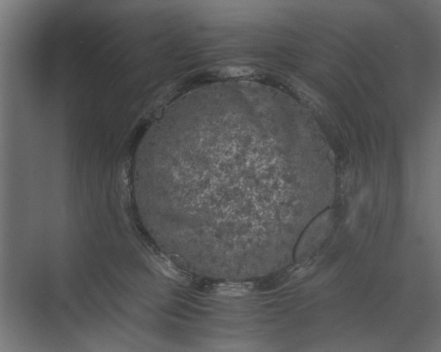 X0000073920373200608251555