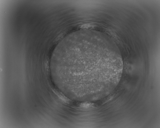 X0000073920375200608251555