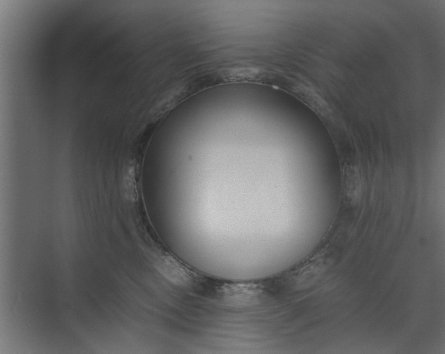 X0000073920378200608251555