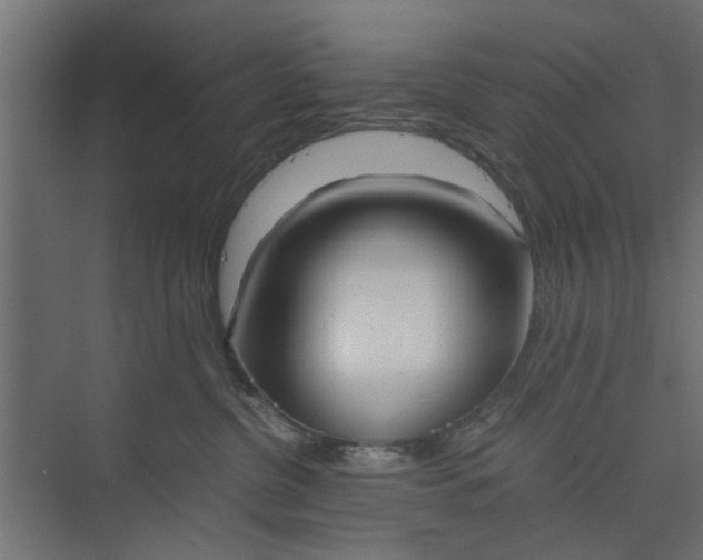 X0000073920380200608251556