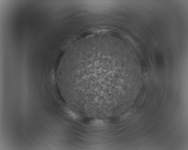 X0000073920381200608251556