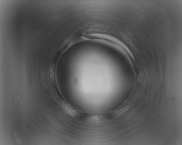 X0000073920382200608251556